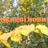 Тижневі новини