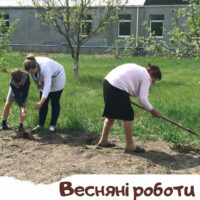 blog_ogorod_ukr