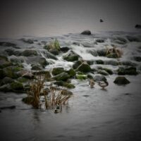 IMG_7532